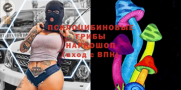 героин Богданович