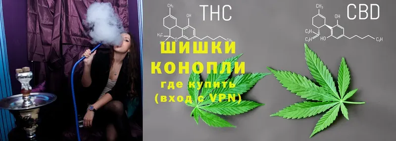 Бошки марихуана Bruce Banner  Камбарка 